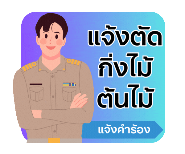 ตัดต้นไม้