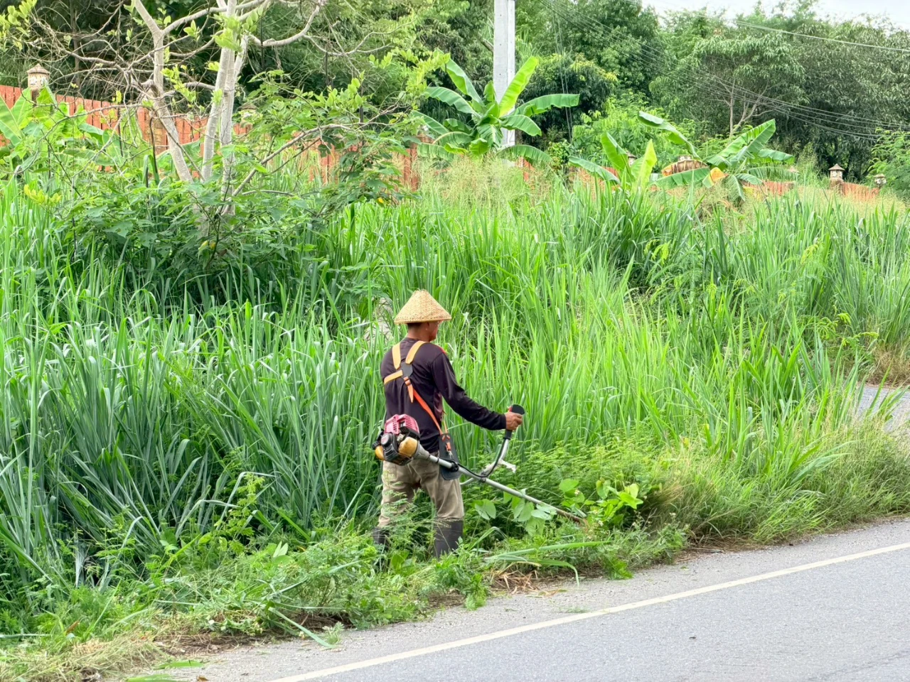 6.jpg_1780628702.webp